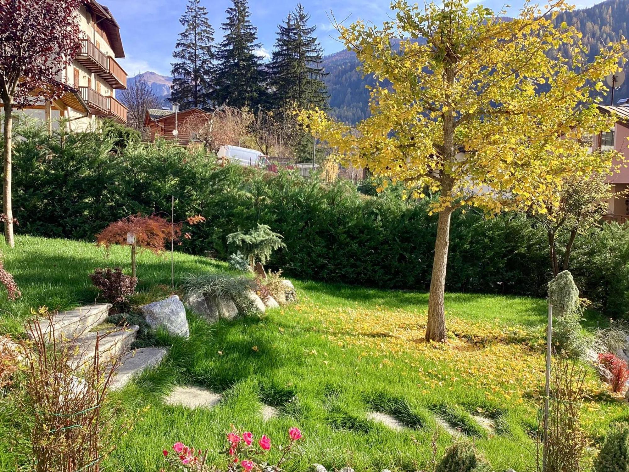 B&B Villa Paradiso Mezzana  Eksteriør billede